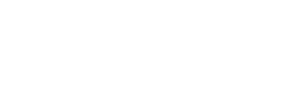 City of Houston Logo