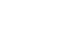 raleigh Logo